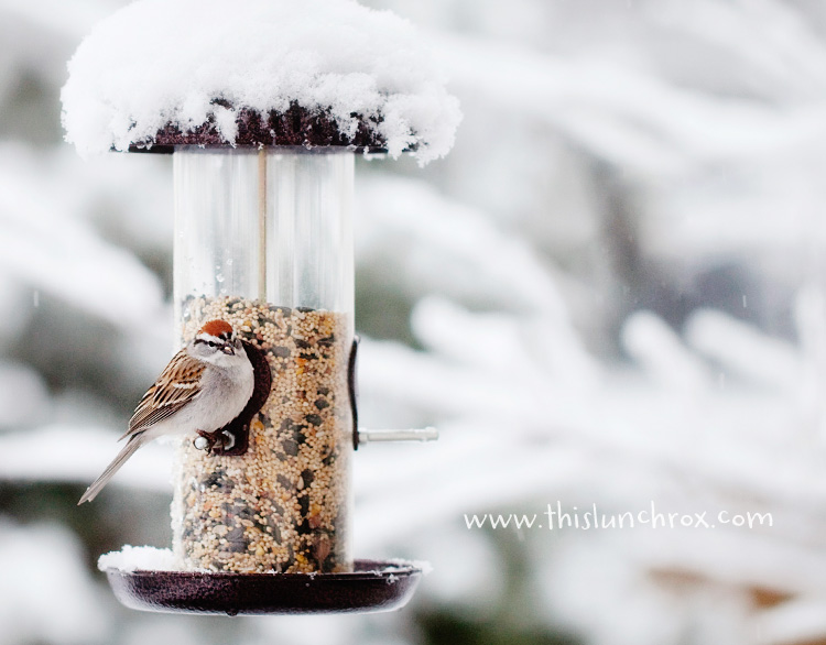 healthy kids lunches