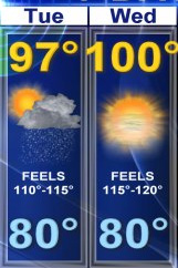 this lunch rox by jamie schultz