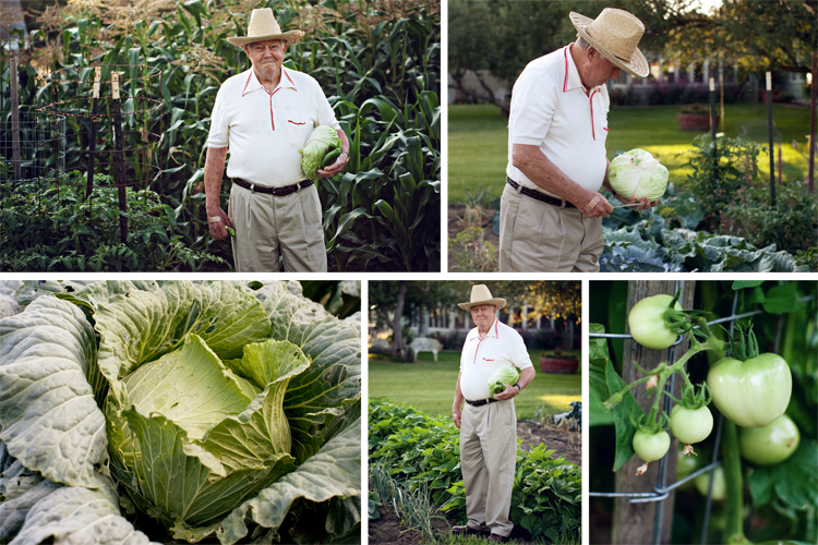lunch ideas for kids