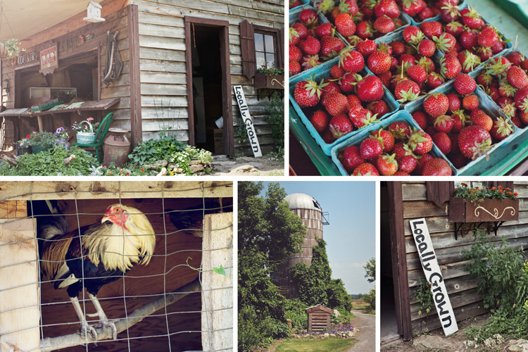 healthy snacks for kids