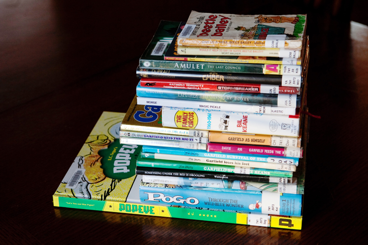 Graphic Novel Book Suggestions from This Lunch Rox