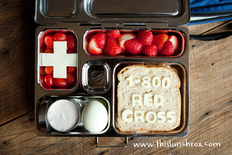 Red Cross Disaster Relief Efforts